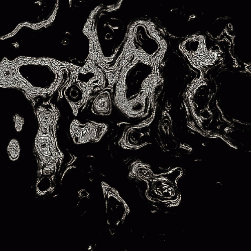 Rudis : Hell Is Empty Now... All Demons Are There...